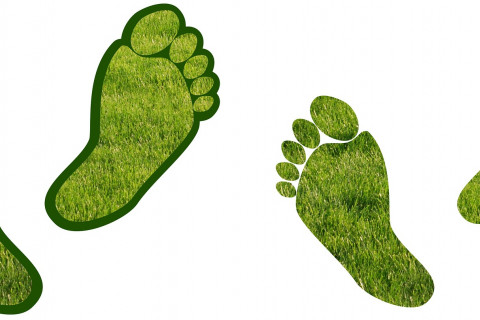 carbon-footprint-q-pall-