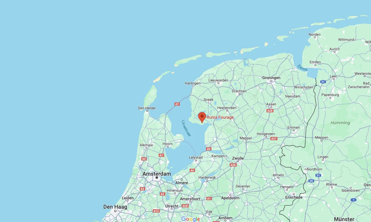 Nijemirdum